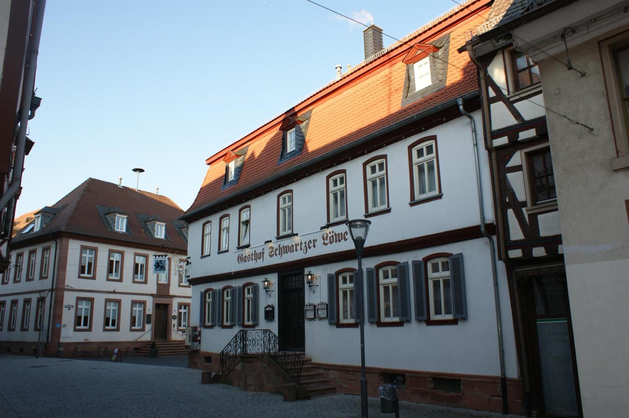 Hotel Schwartzer Loewe Babenhausen  Bagian luar foto