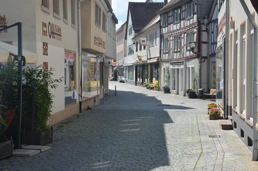 Hotel Schwartzer Loewe Babenhausen  Bagian luar foto